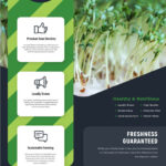 Beans Grow Green Flyer Design