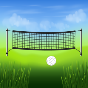 Volleyball Ground with Net Vector