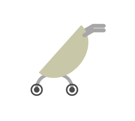 stroller for newborn