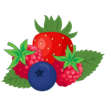 Berries, berries, berry, blueberry, food, fruit, gastronomy