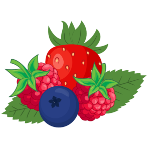 Berries, berries, berry, blueberry, food, fruit, gastronomy