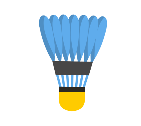 Badminton shuttle, feathered birdie, shuttlecock, racquet sports equipment, badminton bird-01