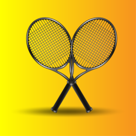 Badminton, shuttlecock sport, racquet game, court sports, shuttle game-01