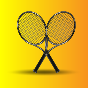 Badminton, shuttlecock sport, racquet game, court sports, shuttle game-01