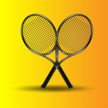 Badminton, shuttlecock sport, racquet game, court sports, shuttle game-01