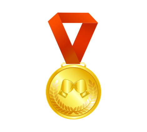 Medal, award, championship medal, victory medallion, sports accolade-01